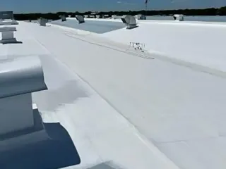 IMG_2406_1723026832967